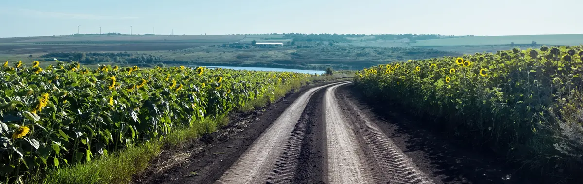 Основное изображение статьи