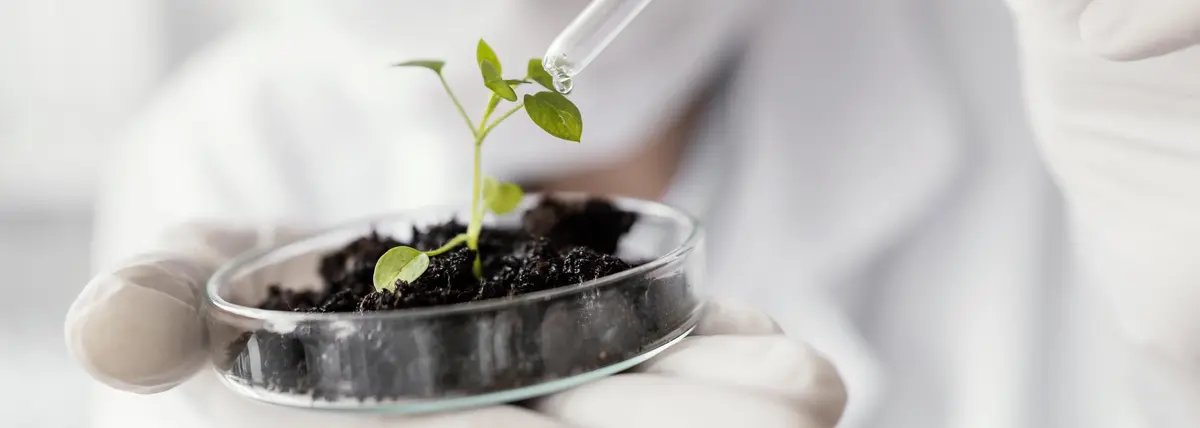 Основное изображение статьи