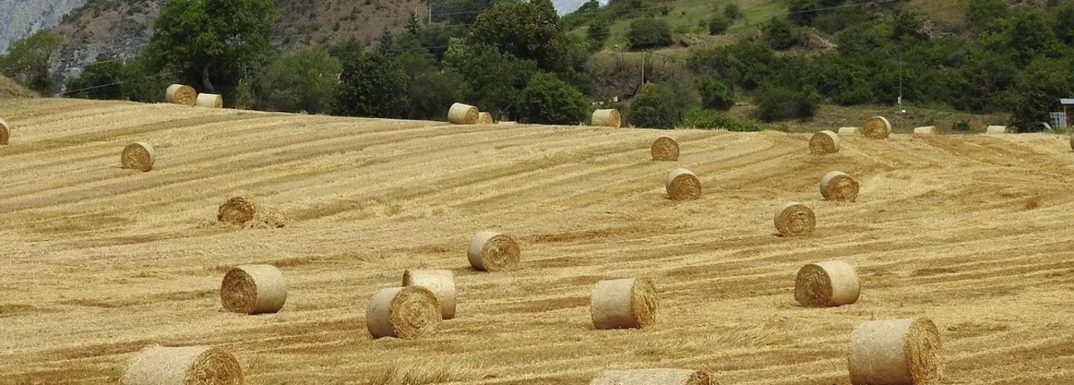 Основное изображение статьи