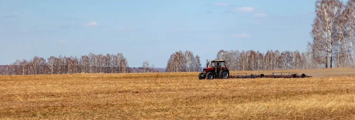 Основное изображение статьи