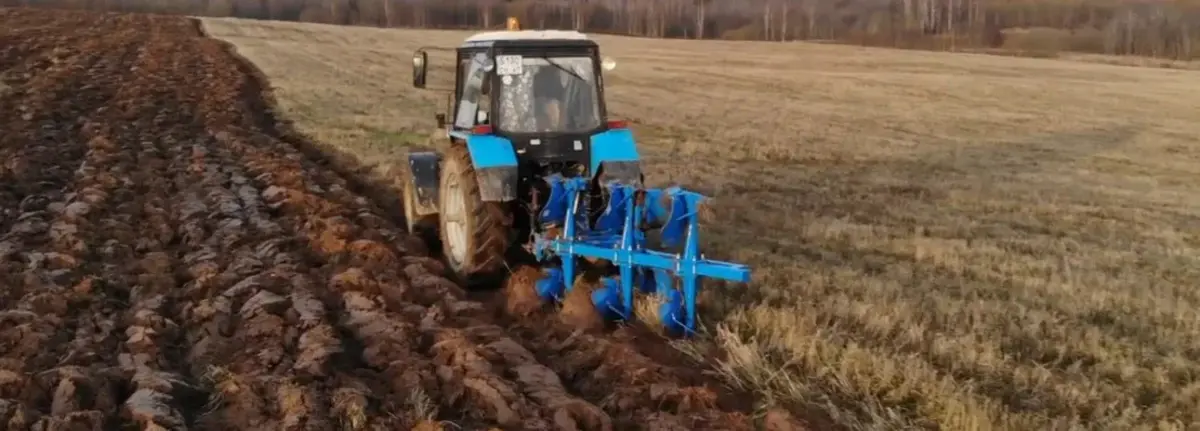 Основное изображение статьи