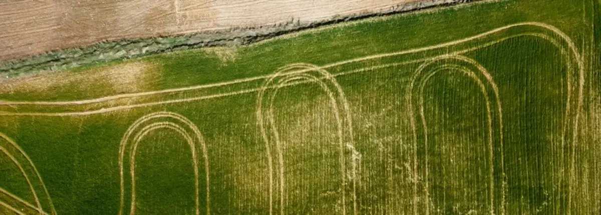 Основное изображение статьи