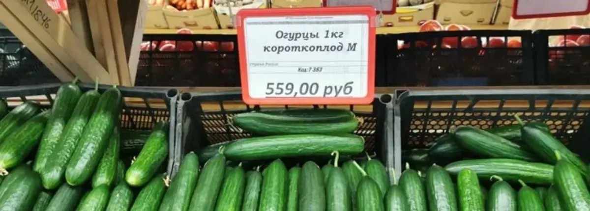 Основное изображение статьи
