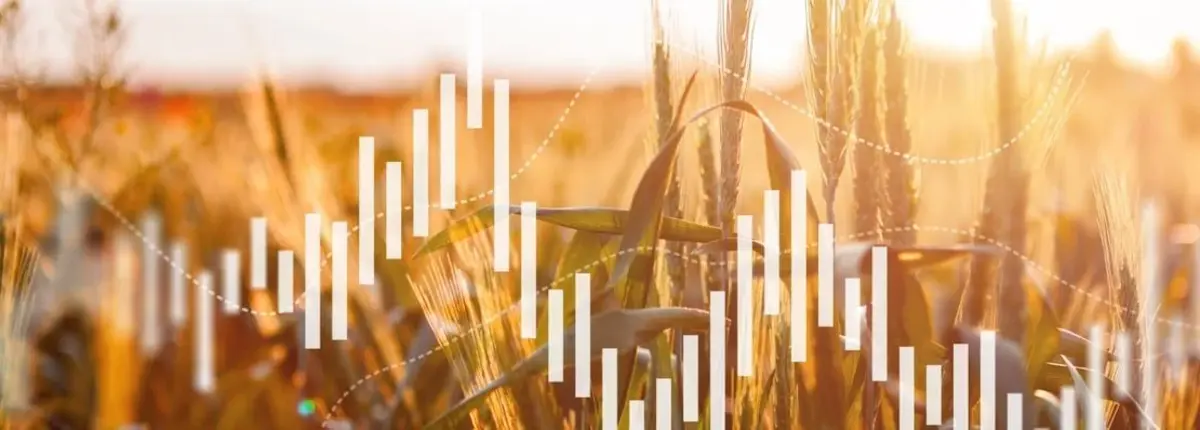 Основное изображение статьи