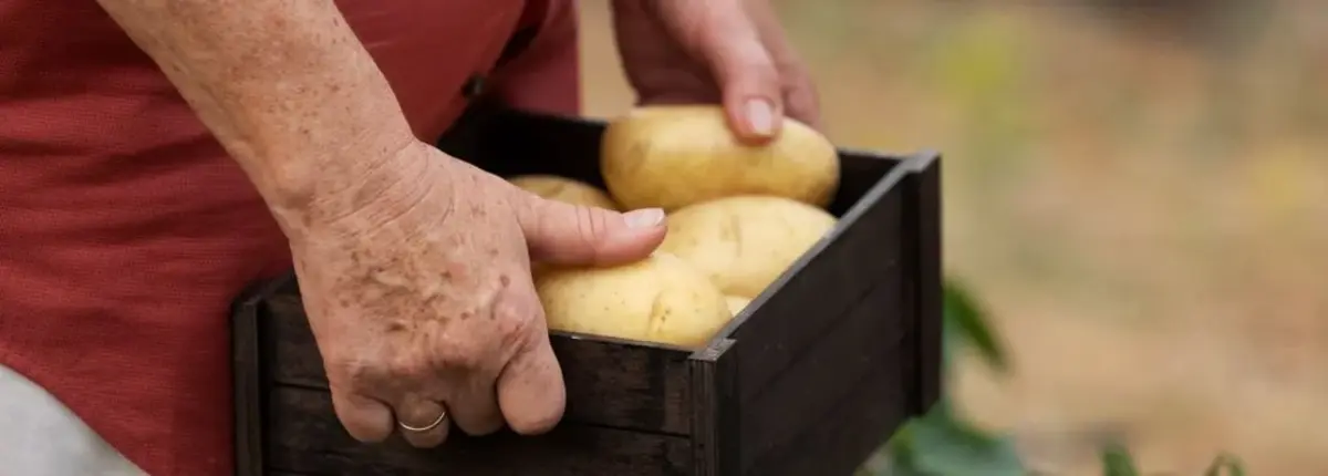 Основное изображение статьи